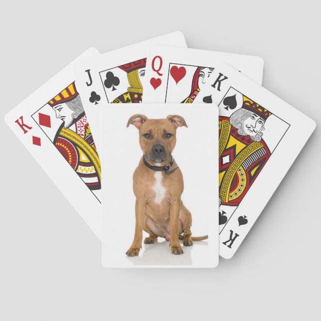 Pitbull Playing Cards (Back)