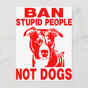 PITBULL POSTCARD