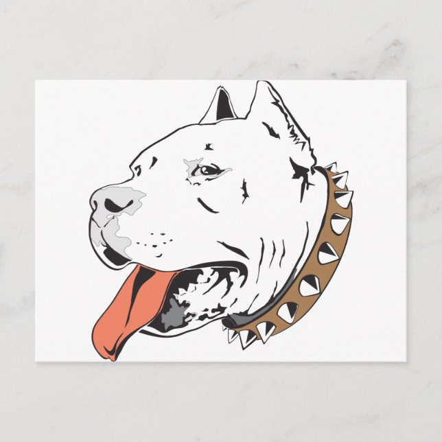 Pitbull Postcard (Front)
