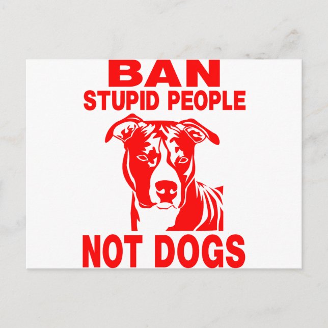 PITBULL POSTCARD (Front)