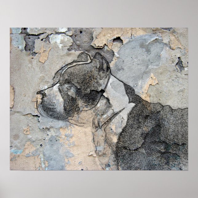 Pitbull Poster (Front)