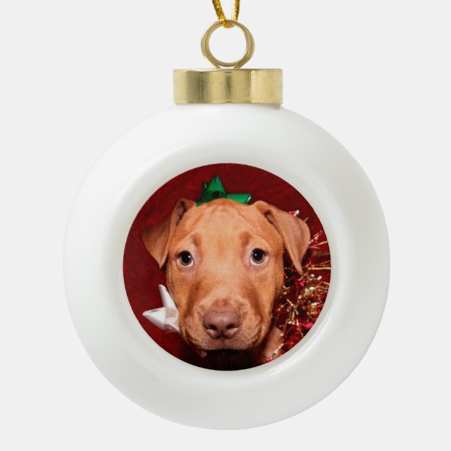 Pitbull puppy Christmas Ceramic Ball Christmas Ornament (Front)