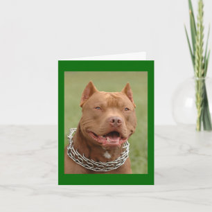 Pitbull Puppy Dog Blank Note Card