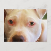 Pitbull Puppy Dog Eyes Art Photography