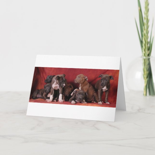 Pitbull puppy heaven card (Front)