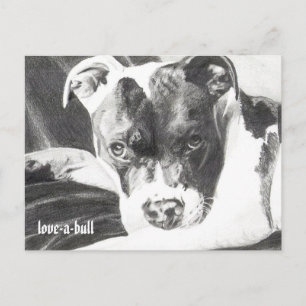 Pitbull Puppy in pencil 4 by Jacob Grimm Postcard