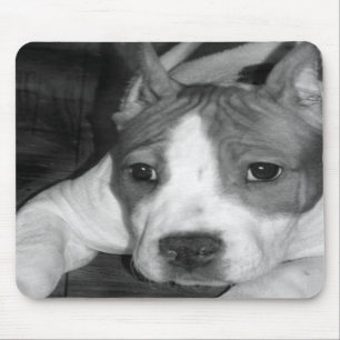 Pitbull puppy mousepad