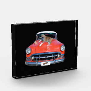 Pitbull Puppy On A Classy Red Car, Photo Block