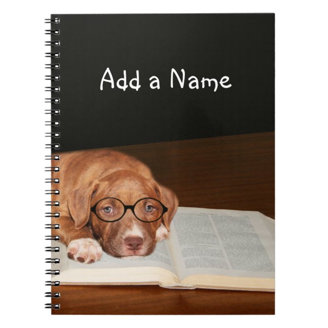 Pitbull puppy reads spiral notebook (Front)