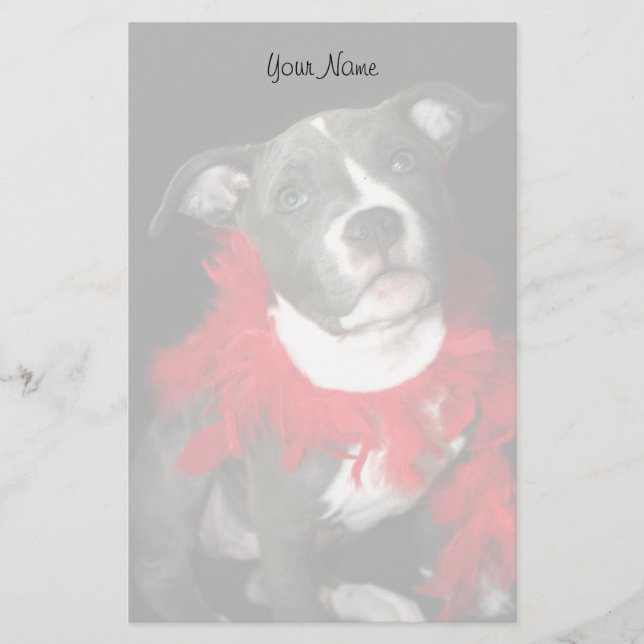 Pitbull puppy stationary stationery (Front)