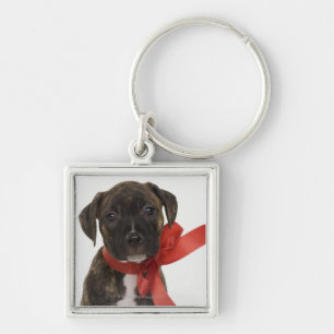 Pitbull puppy wearing red ribbon key ring