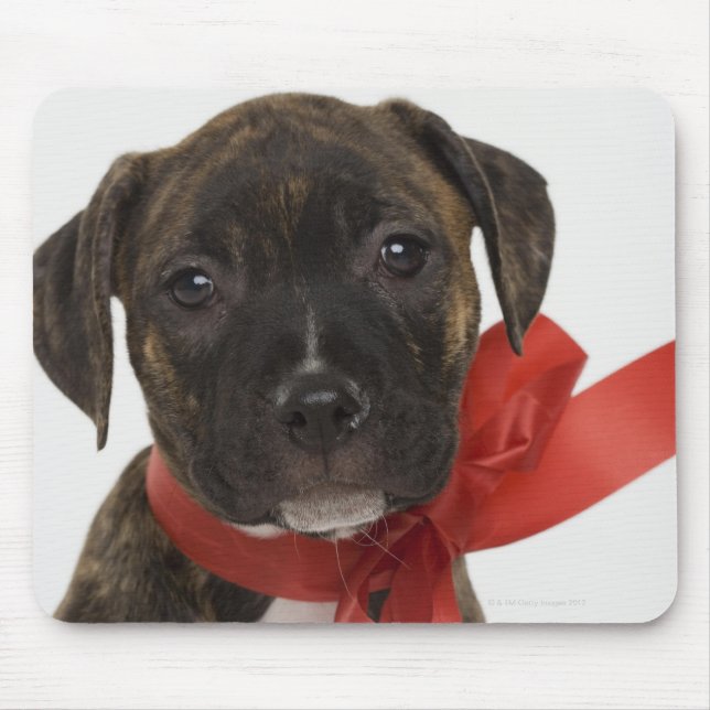 Pitbull puppy wearing red ribbon mouse pad (Front)