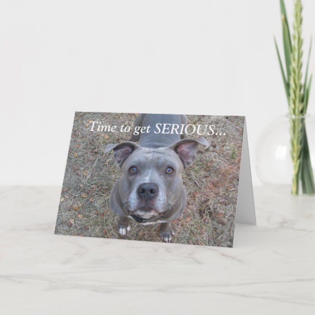 Pitbull Serious Thank You Card (Front)