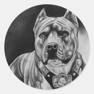 PITBULL STICKER ROUND PKG OF 20