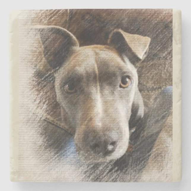 Pitbull Stone Coaster (Front)