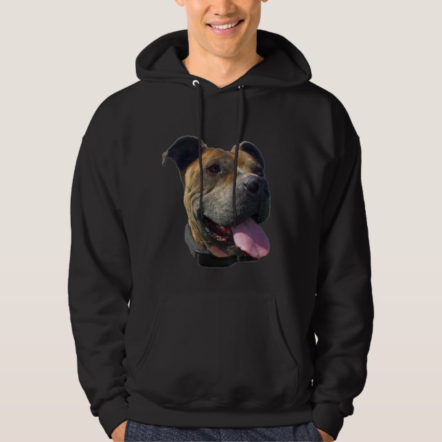 Pitbull sweatshirt (Front)