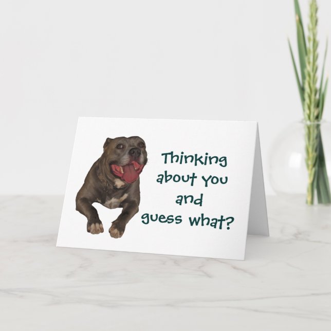 Pitbull Thinking About You Greeting Card (Front)