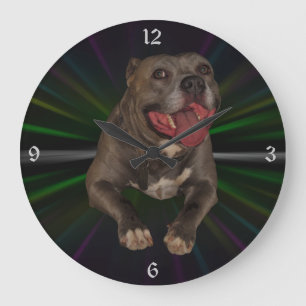 Pitbull Wall Clock