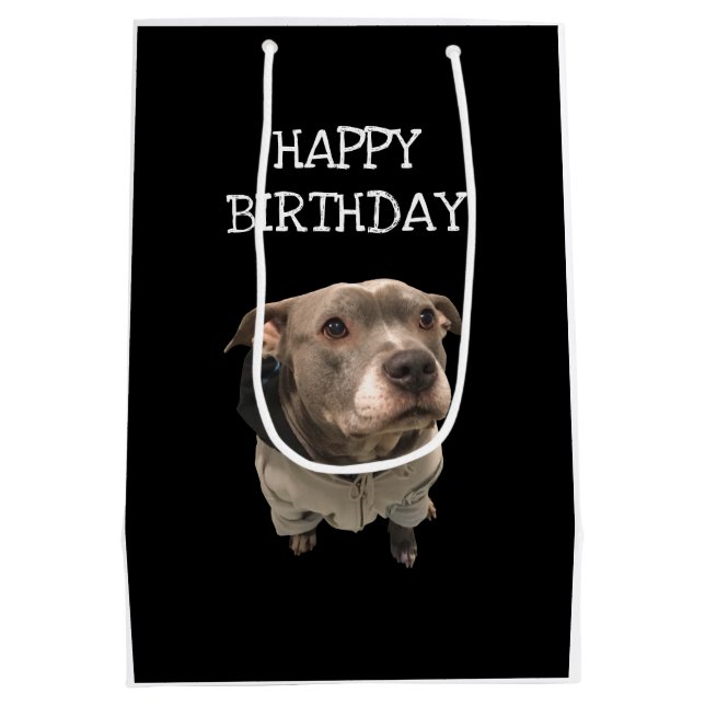 Pitbull Wearing Hoodie Gift Bag (Back)