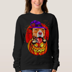 Pitbull Witch Pumpkin Halloween 383 Sweatshirt