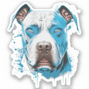Pitbull with Blue Eyes   Dog Lover's 