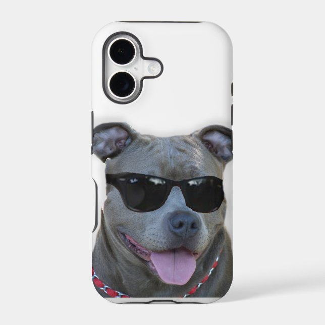 Pitbull with glasses (Back)