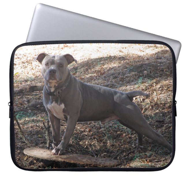 Pitbull with Skateboard Laptop Sleeve (Front)
