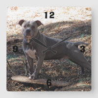 Pitbull with Skateboard Numbered Wall Clock