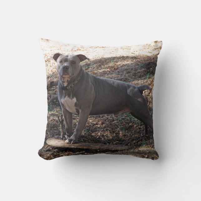 Pitbull with Skateboard Pillow (Front)