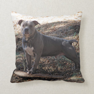Pitbull with Skateboard Pillow
