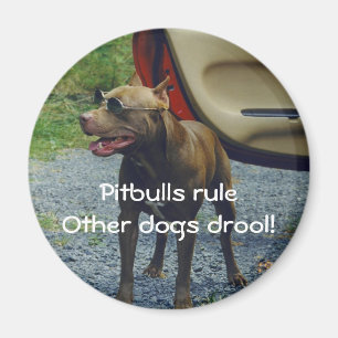 Pitbulls Rule Magnet