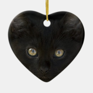 Pitch Black Feral Kitten With Shiny Loving Eyes Ceramic Tree Decoration