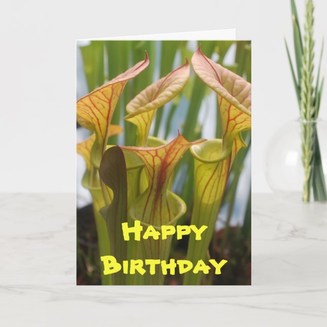 Pitcher Plant Carnivorous Birthday Card (Front)