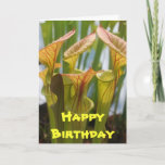 Pitcher Plant Carnivorous Birthday Card<br><div class="desc">Pitcher Plant Carnivorous Birthday Card</div>