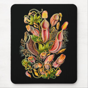 Pitcher Plants Mouse Pad