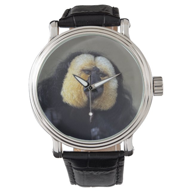 Pithecia pithecia watch (Front)