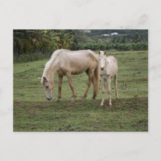 Pitons2 Postcard