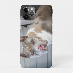 Pitt bull Case-Mate iPhone case