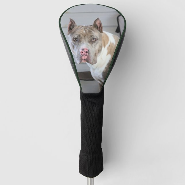 Pitt bull golf head cover (Front)