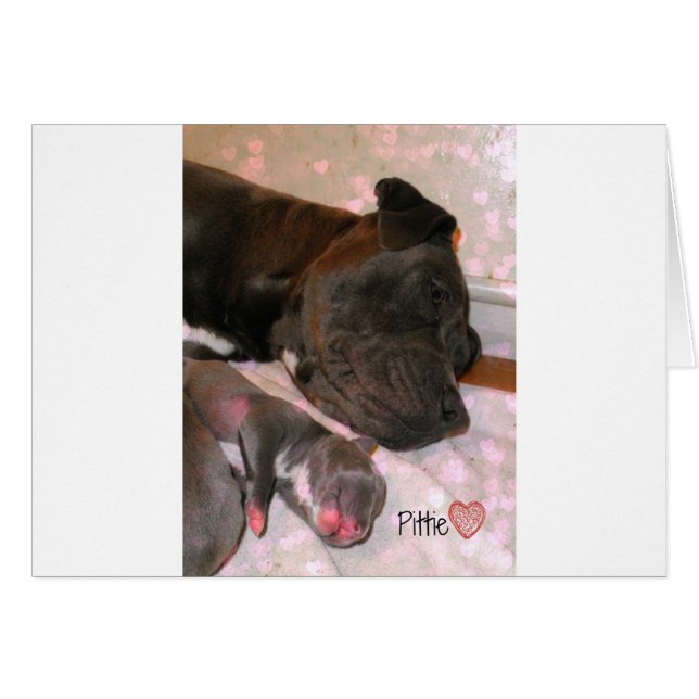 Pittie Love (Front Horizontal)