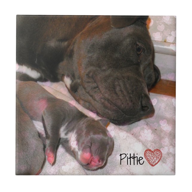 Pittie Love Tile (Front)