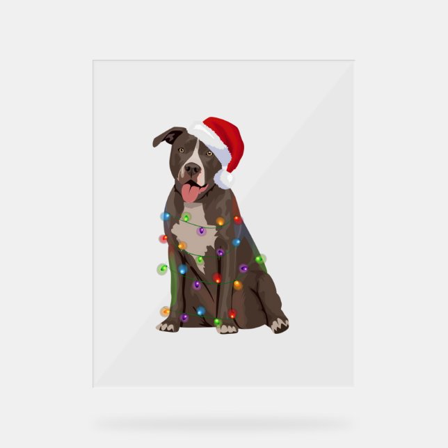Pittie Pitbull Christmas Lights Xmas Dog Lover  Acrylic Sign (Front)