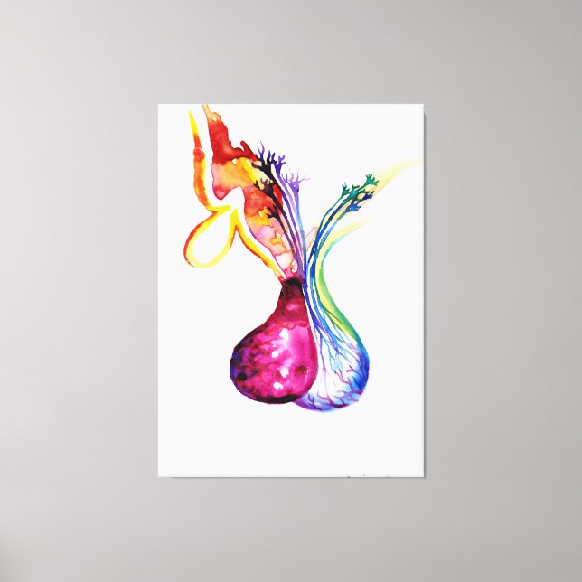 Pituitary structure canvas print (Front)
