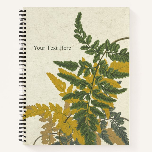 Pityrogramma chrysophylla Fern Notebook (Front)