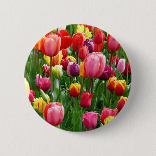 pixabay.comentulips-tulip-bed-colourful-colour-521 6 cm round badge