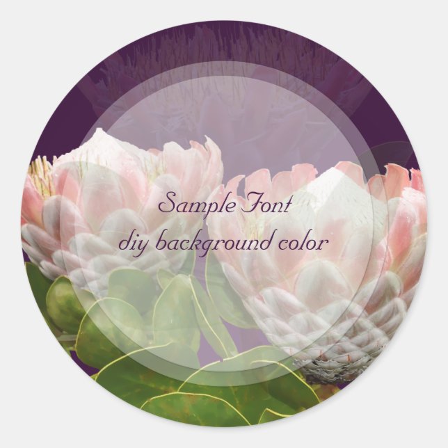 PixDezine maui king protea/DIY background colour Classic Round Sticker (Front)