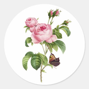 PixDezine vintage victorian roses/redoute Classic Round Sticker