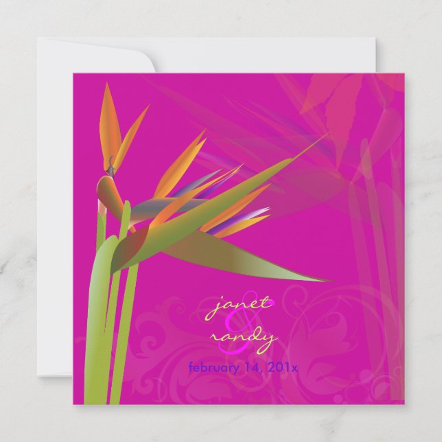 PixDezines BIRD OF PARADISE/DIY Background Colour Invitation (Front)