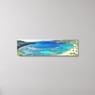 PixDezines hanauma bay Canvas Print