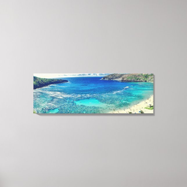 PixDezines hanauma bay Canvas Print (Front)